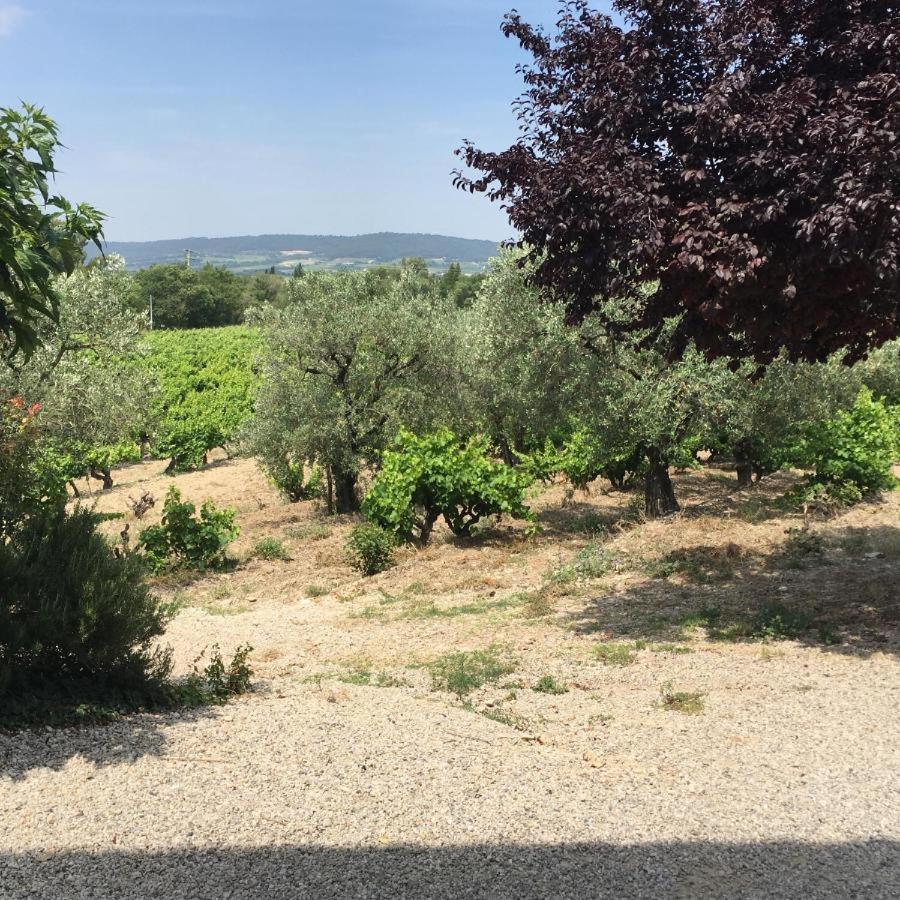 הוילה Mirabel-aux-Baronnies Mas Du Prescondu מראה חיצוני תמונה